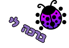 ברכות